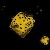 Animals&energy. Un proyecto de Diseño e Ilustración tradicional de Lara Galán - 25.04.2011