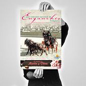 Carteles. Design project by ignacio_castells - 05.02.2011