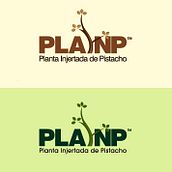 PROYECTO 3. Un progetto di Design e Illustrazione tradizionale di edgar ivan quiroz benites - 04.06.2011