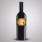 Pack par Rio Mel Lodge Wine. Design, and Traditional illustration project by Sol Lavilla - 06.07.2011