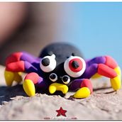 La venganza de la araña. Un proyecto de Diseño y Fotografía de Lidia Aparicio Sales - 15.12.2011