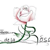Fundacion de la Rosa. Design projeto de Mayra Silva - 02.08.2011