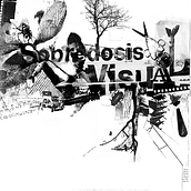 Diseño Editorial. Design, Traditional illustration, and Photograph project by Daniel Gustavo Monte [DG] - 08.07.2011