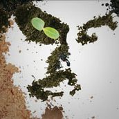 Medio ambiente. Design, Traditional illustration, and Music project by José Eduardo Collado - 09.12.2011