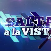 Salta a la vista. Motion Graphics, Film, Video, TV, and 3D project by Félix Marín Grachitorena - 10.01.2011