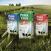 Press - Pura Vida. Een project van  Ontwerp, Traditionele illustratie, 3D y  Reclame van PWS media lab - 27.10.2011