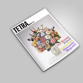 Tetra. Design project by Cora Carrasco - 11.16.2011