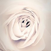 Miscelanea. Photograph, and Advertising project by Eduardo Rivas Muñoz - 01.11.2012