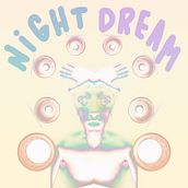 Noche de ensueño. Design, Traditional illustration, and Photograph project by Pablo Pighin - 01.12.2012