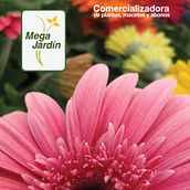 Identidad Corporativa . % Veronica Suarez tarafından hazırlanan Tasarım projesi - 01.15.2012