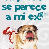 Un proyecto de perros . Desain, Ilustrasi tradisional, Iklan, Dan UX / UI proyek oleh CARMEN NUEVO GOMARIZ - 01.23.2012
