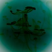 Abstrack Forms . Design, Ilustrație tradițională și Fotografie de David Veo Foto - 03.18.2012