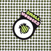 Imágen de marca Small Wonders. Design, and Advertising project by Noelia Rodriguez Rivera - 04.17.2012