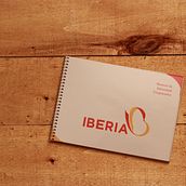 Manual Identidad Corporativa Iberia. Un proyecto de Diseño, Ilustración tradicional y Publicidad de Victor Boscatt - 31.05.2012