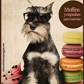 Ginger & Ginseng- food for pets. Design, Photograph, and Advertising project by Un 6 y un 4 - Diseño con Ñ -- diseño con Ñ - 06.21.2012