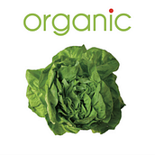 Rediseño Flyer. Projekt z dziedziny Design i  Reklama użytkownika Glorium Organicus - 26.09.2012