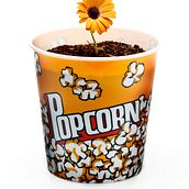 Ecozine. Un projet de Photographie , et Publicité de Sofia - 09.11.2012