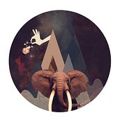 Collage . Design project by Anabel Maldonado - 01.19.2013