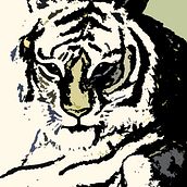 Tigre Ein Projekt aus dem Bereich Design und Traditionelle Illustration von Elia Amador Godínez - 09.03.2013
