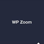 WP Zoom Developer Icon Set. Design projeto de Aditiva Design - 03.04.2013