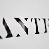 Logo Pantera. Design project by Cynthia Corona - 04.04.2013