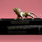 Leon el Africano. Un proyecto de Diseño e Ilustración tradicional de Esteban Eliceche Lorente - 04.04.2013