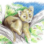 Animales. Traditional illustration project by Mar Martínez - 04.29.2013