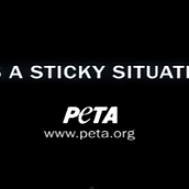 It's a sticky situation. Advertising, Film, Video, and TV project by Marina Garcia Serra - 06.13.2013
