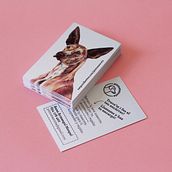 Pintomascota. Design project by Judit Armengol - 06.26.2013