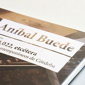 Colección 1.330.022, etc - Aníbal Buede . Design project by Juan Paz - 07.31.2013