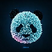 Pand.a Poly .thrazr. 3D, Design, and Traditional illustration project by Carlos Behrens - 08.01.2013