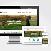 Amiko. Programming, Design, and UX / UI project by Webea Estudio - 08.13.2013