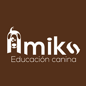 Imagen Amiko. Design project by Webea Estudio - 08.13.2013