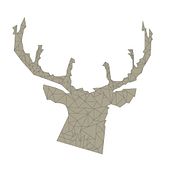 Diseño camisetas. Photograph, Design, and Traditional illustration project by mari_make_art_from_ideas - 08.14.2013