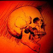 Skull. Traditional illustration project by Luis Miguel Falcón - 09.15.2013