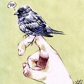 Birdie. Design, Advertising, and Traditional illustration project by Patricia Ramírez Lucena - 10.12.2013