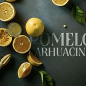 licor pomelo. Design, and Advertising project by ele&uve - 11.01.2013