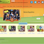 Tienda Kactus con K Ein Projekt aus dem Bereich Design und Programmierung von Gabriel Merino Rodríguez - 19.11.2013
