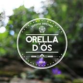Cervesa Orella d'ós. Un proyecto de Diseño, Ilustración tradicional, Publicidad, Música, Motion Graphics, Fotografía, Cine, vídeo, televisión y 3D de Artificialia Studio - 26.11.2013