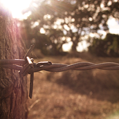 Solo asi...  . Fotografi proyek oleh Danny Herrera - 12.02.2013