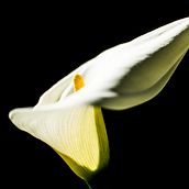 DeliCalas. Photograph project by Patricia Conesa - 04.18.2016