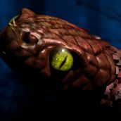 Jiraiya Goketsu Monogatari Zbrush. 3D project by Abraham Campillo Iglesias - 12.19.2013