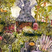 Jardín Botánico. Traditional illustration project by José Manuel Hortelano-Pi - 01.05.2014