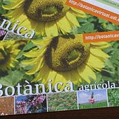 Botanica virtual. Design, Publicidade, e Programação  projeto de Josep M Garcia Gualdo - 20.06.2005
