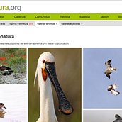 Fotonatura.org - CTO y co-founder. Web Development project by Juanma Orta - 02.11.2014