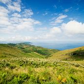Un paseo por el monte. Projekt z dziedziny Fotografia użytkownika Telmo Iridoy Amunarriz - 17.02.2014