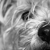 Fotografía Ein Projekt aus dem Bereich Fotografie und Werbung von Sofia Perez - 20.02.2014