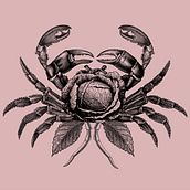 Bestiario Sushi Bar. Br, ing, Identit, Art Direction, Design, Graphic Design, Photograph, Traditional illustration, and Advertising project by Liliana Espinosa - 02.28.2014