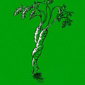 Carrots in love.. Traditional illustration project by Ina Fiebig - 03.02.2014
