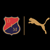 DIM CENTENARIO. Marketing project by Juan Guillermo Rodríguez Reyes - 03.03.2014